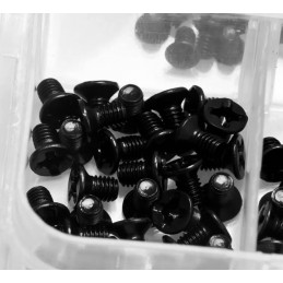 Set of 300 very small iron bolts (M2, M2.5, M3, black)