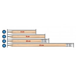 Set van 100 minipotloden (9 cm lengte, type 2)