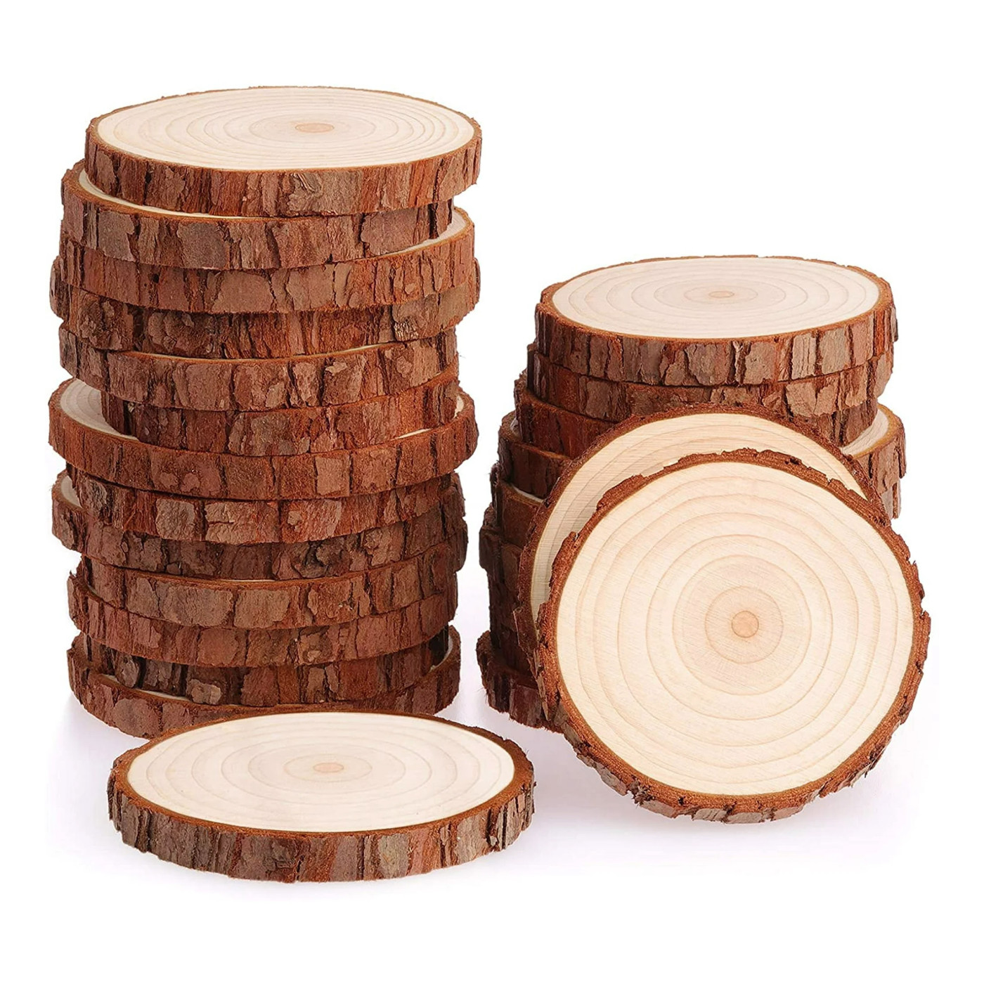Set von 15 Baumscheiben aus Holz mit Rinde (4-5 cm Durchmesser