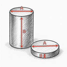 Set of 20 strong magnets (6x1 mm, cylinder/disc, neodymium)