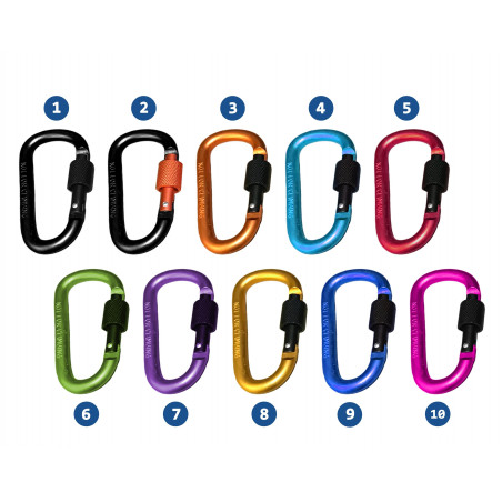 Set carabiners: 10 pieces, 10 colors