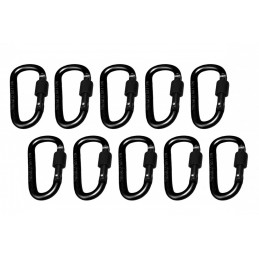 Set of 10 carabiners, color 1: black, 100 kg