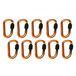 Set van 10 Karabiner, Farbe 3: orange, 100 kg