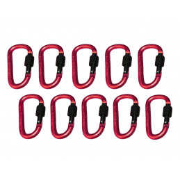 Set of 10 carabiners, color 5: red, 100 kg