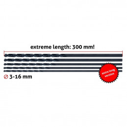 Set di 2 punte per metallo, extra lunghe (10,0x300 mm)