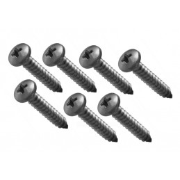 Set van 7 schroefjes met ronde kop (4,0x18 mm, zilverkleur)