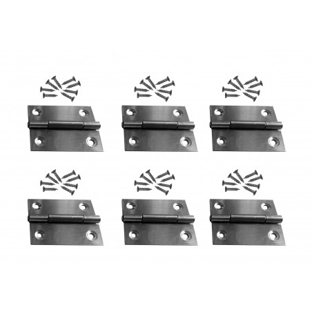 Set of 6 stainless steel hinges (size 3: 38x50 mm)