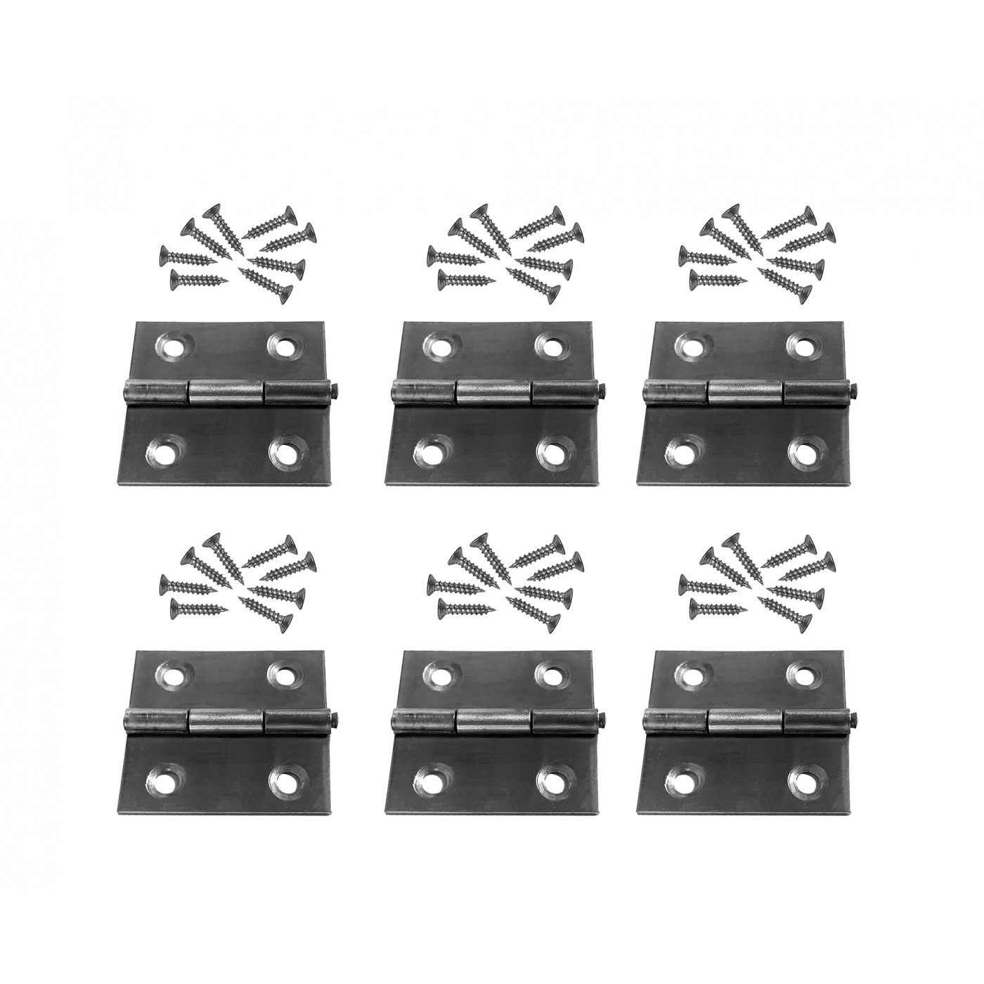 Set van 6 scharniertjes (maat 2: 36x38 mm, roestvrij staal)