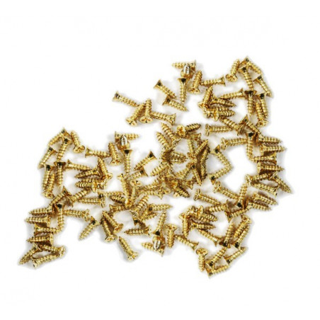 Set of 300 mini screws (2.5x6 mm, countersunk, gold color)