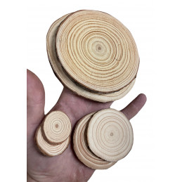 Set of 50 slices of wood (dia: 3-4 cm, thickness: 5 mm)