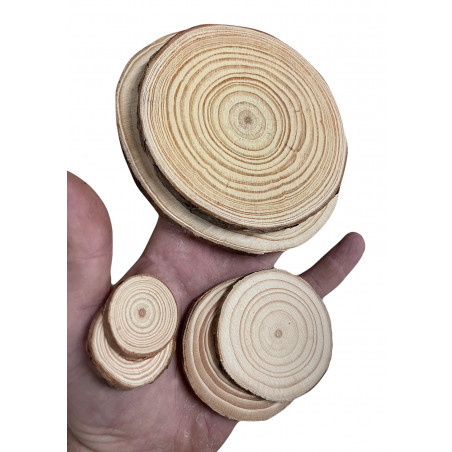Set van 25 schijven hout (diameter: 6-7 cm, dikte: 5 mm)
